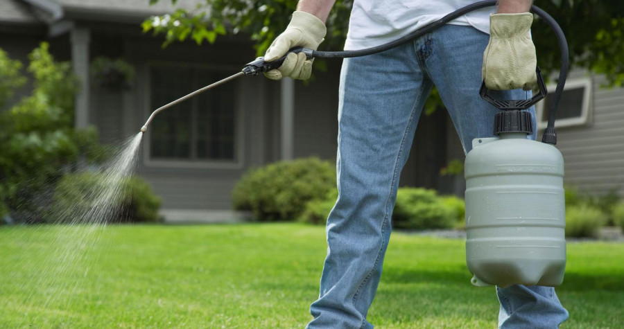 Tespih Böceği İlaçlama