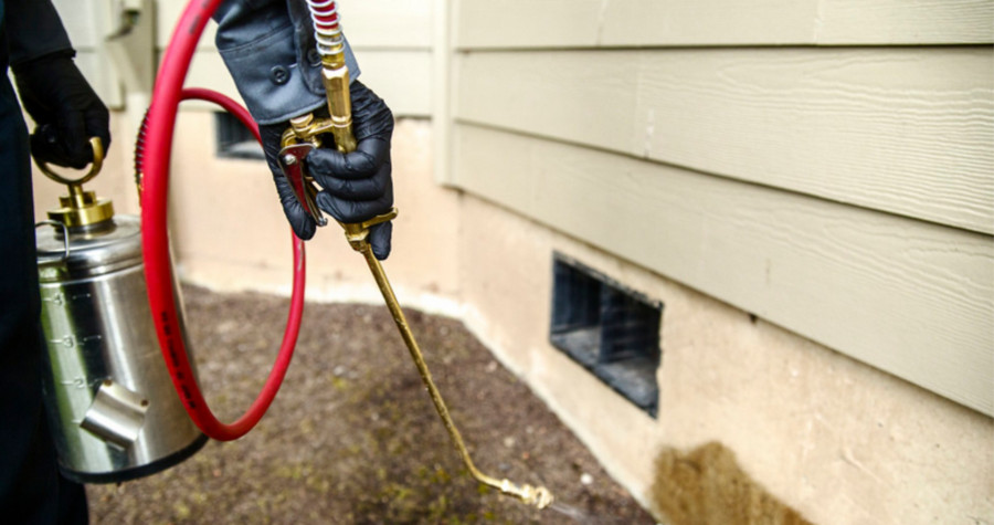 Restaurant İlaçlama