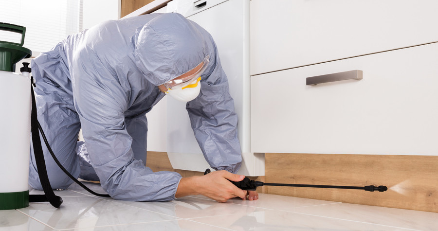 Uyuz Böceği İlaçlama