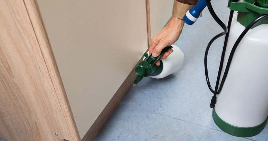 Sinek & Kara Sinek İlaçlama