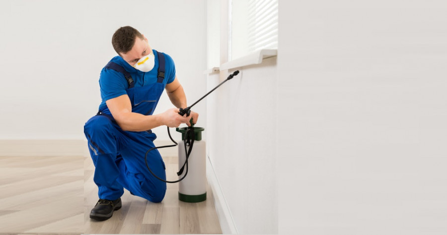 Örümcek İlaçlama