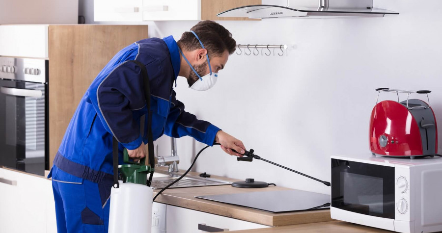 Arı & Yaban Arısı İlaçlama