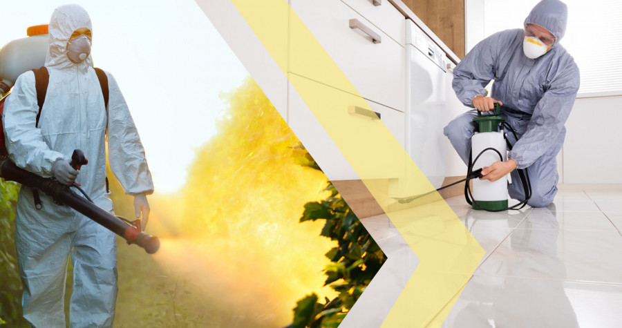 Karafatma İlaçlama