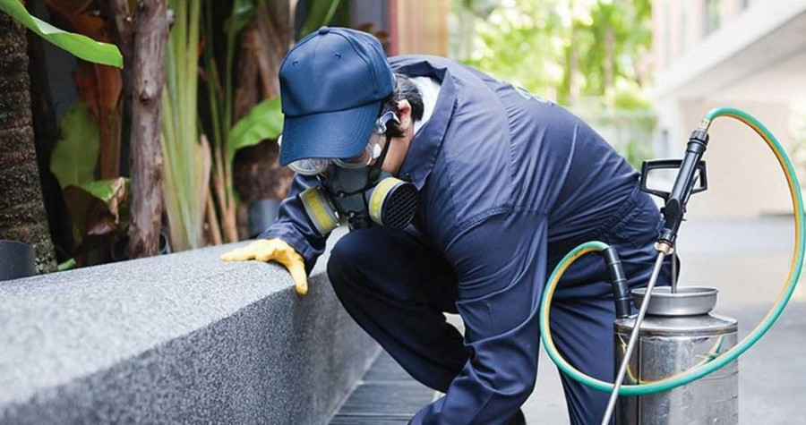 Ofis ve İşyeri İlaçlama